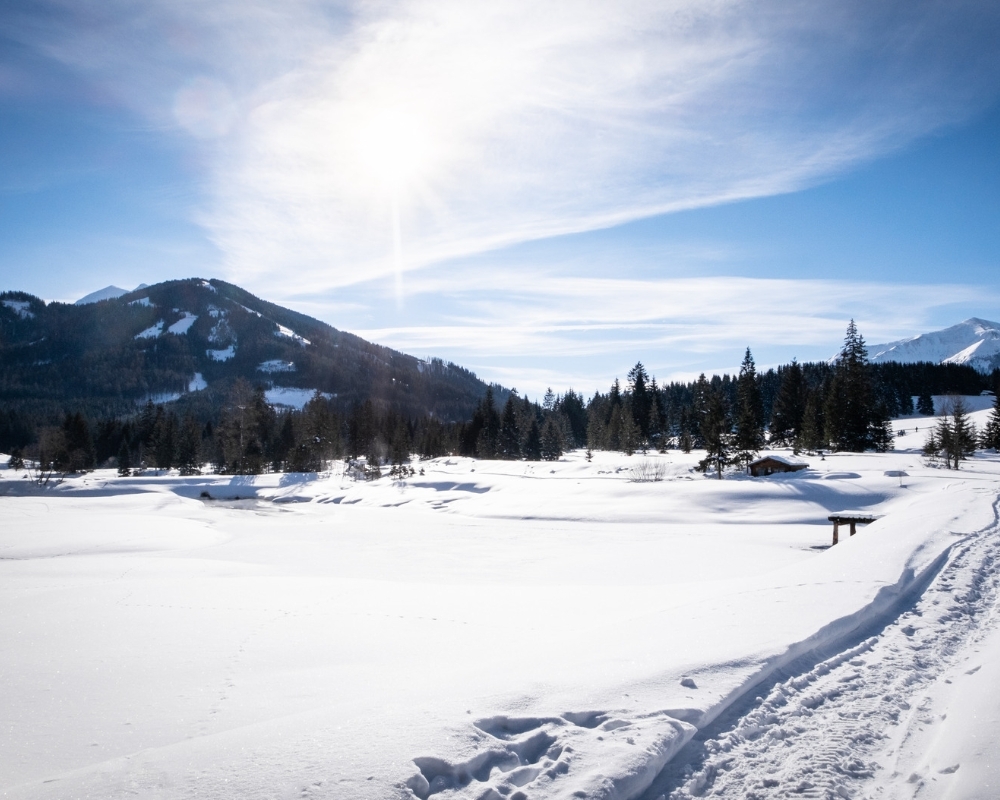 Winterlandschaft